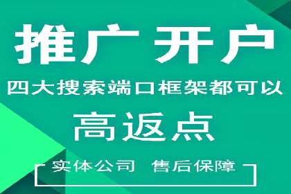 竞价排名优化策略案例分析