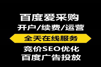 某电商平台的SEM策略与效果展示